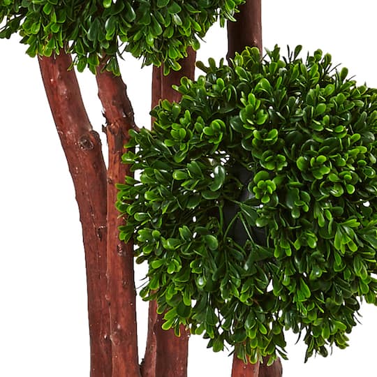 5ft. Potted Boxwood Tree